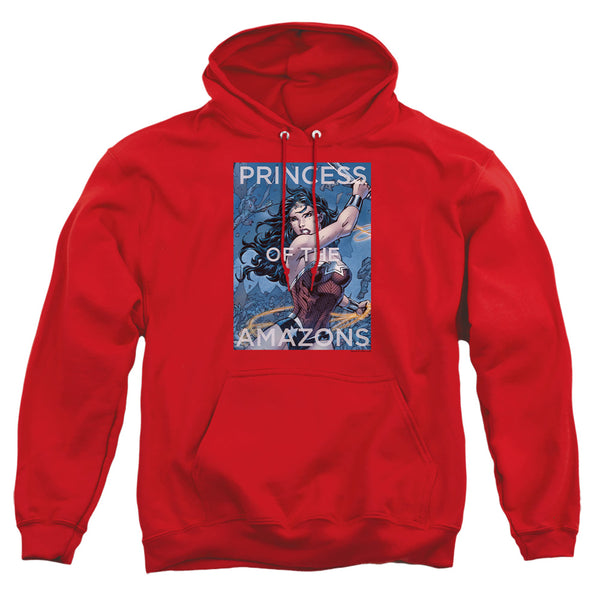 JLA - Princess Of The Amazons Adult Pullover Hoodie