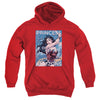 JLA - Princess Of The Amazons Youth Hooded Sweatshirt