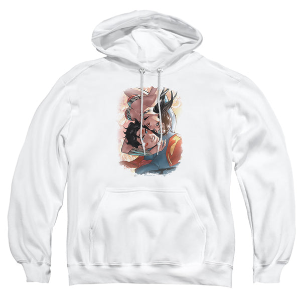 JLA - Love Birds Adult Pullover Hoodie