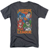 JLA - Hero Mashup Adult Regular Fit Short Sleeve