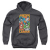 JLA - Hero Mashup Youth Hooded Sweatshirt