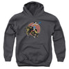 JLA - Bull Rider Youth Hooded Sweatshirt