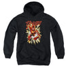 JLA - Flash Glow Youth Hooded Sweatshirt
