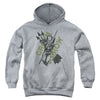 JLA - Archers Arrows Youth Hooded Sweatshirt
