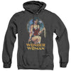 JLA - City Warrior Adult Heather Hoodie