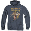 JLA - Star Lasso Adult Heather Hoodie