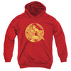 Jla - Young Wonder Youth Hooded Sweatshirt