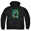 JLA - Gl Brooding Adult Pullover Hoodie