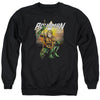 JLA - Beach Sunset Adult Crewneck Sweatshirt