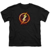 JLA - Flash Title Youth Short Sleeve