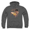 Jla - Glowing Lasso Adult Pullover Hoodie