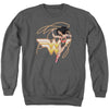 Jla - Glowing Lasso Adult Crewneck Sweatshirt