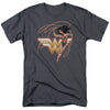 Jla - Glowing Lasso Adult Regular Fit Short Sleeve
