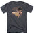 Jla - Glowing Lasso Adult Regular Fit Short Sleeve