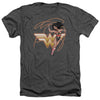 Jla - Glowing Lasso Adult Regular Fit Heather Short Sleeve