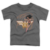 Jla - Glowing Lasso Toddler Short Sleeve