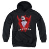 JLA - Possession Youth Hooded Sweatshirt