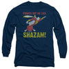 JLA - Fridays Got Me Like Adult Long Sleeve