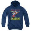 JLA - Fridays Got Me Like Youth Hooded Sweatshirt