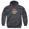 Flash - Too Slow Youth Hooded Sweatshirt