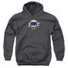 JLA - Batgirl Chibi Youth Hooded Sweatshirt