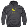 Justice League - Wayne Aerospace Youth Hooded Sweatshirt