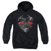 Justice League Movie - Synders Steppenwolf Youth Hooded Sweatshirt