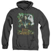 Lord Of The Rings - Hero Group Adult Heather Hoodie