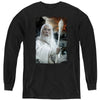 The Lord Of The Rings - Gandalf The White L - S Youth