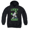 Looney Tunes - Bugs Bunny St. Patrick's Lucky Rabbit Youth Hooded Sweatshirt