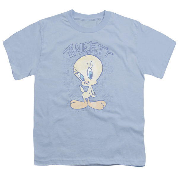 Looney Tunes - Tweety Fade Youth Short Sleeve