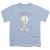 Looney Tunes - Tweety Fade Youth Short Sleeve