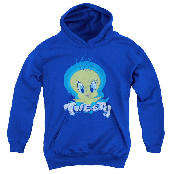 Looney Tunes - Tweety Swirl Youth Hooded Sweatshirt