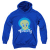 Looney Tunes - Tweety Swirl Youth Hooded Sweatshirt
