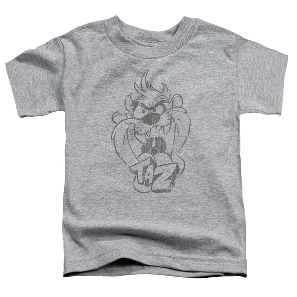 Looney Tunes - Faded Taz Toddler Short Sleeve