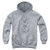 Looney Tunes - Faded Taz Youth Hooded Sweatshirt