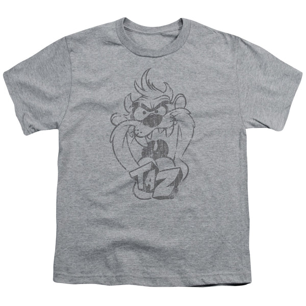 Looney Tunes - Faded Taz Youth Short Sleeve