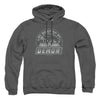 Looney Tunes - Speed Demon Adult Pullover Hoodie