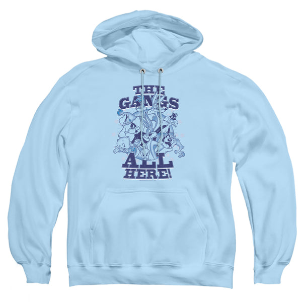 Looney Tunes - Blue Gang Adult Pullover Hoodie