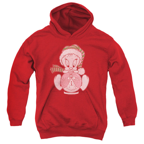 Looney Tunes - Tweey Globe Youth Hooded Sweatshirt