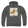 Looney Tunes - Squad Goals Adult Pullover Hoodie