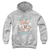 Looney Tunes - Aint I A Stinker Youth Hooded Sweatshirt