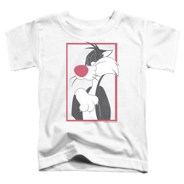 Looney Tunes - Sylvester Toddler Short Sleeve