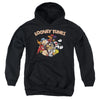 Looney Tunes - Gang 1 Youth Hooded Sweatshirt