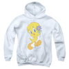 Looney Tunes - Tweety Flower Youth Hooded Sweatshirt