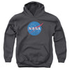 Nasa - Meatball Logo Distressed Youth Hooded Sweatshirt