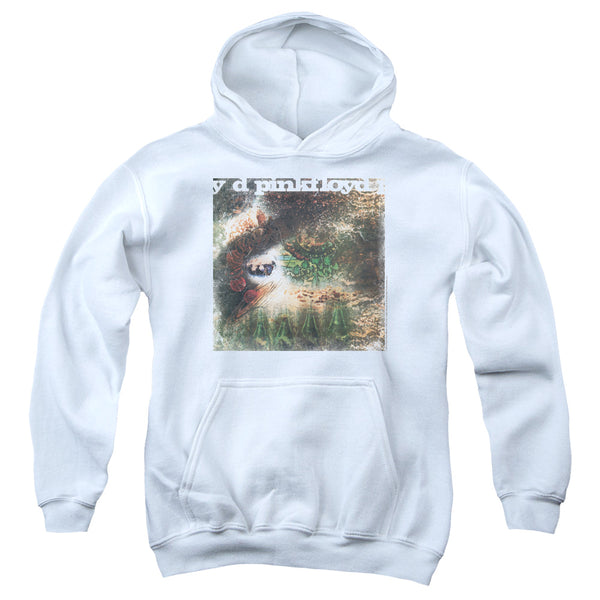Pink Floyd - Saucerful Of Secrets Youth Hooded Sweatshirt