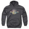 Pink Floyd - Welcome To The Machine Youth Hooded Sweatshirt