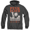 Pink Floyd - Pompeii Adult Heather Hoodie