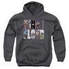 Pink Floyd - Cover Youth Hooded Sweatshirt